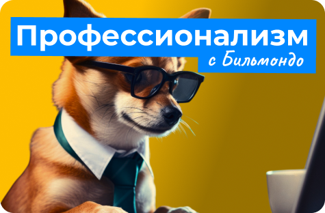 Профессионализм