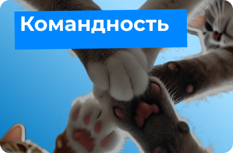 Командность